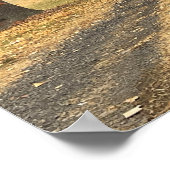 Poster für Herbst-Bäume (Ecke)