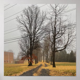 Poster für Herbst-Bäume