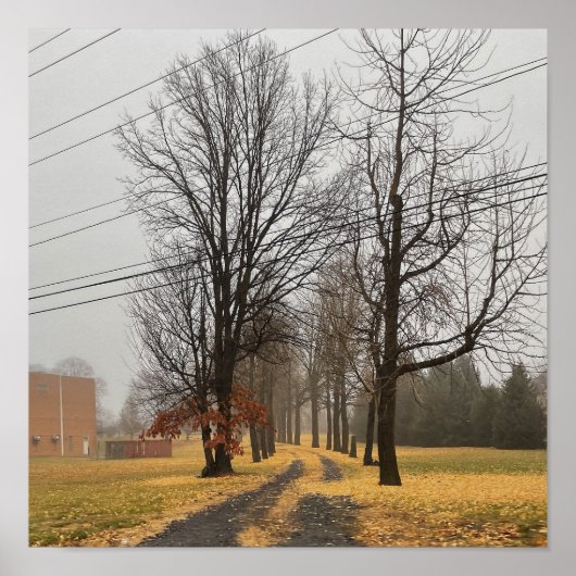 Poster für Herbst-Bäume (Vorne)