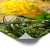 Poster für Jugendliche Erwachsene (Ecke)