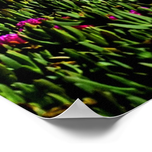 Poster für kalifornische Blume (Ecke)