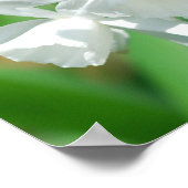 Poster für Kleinkinder (Ecke)