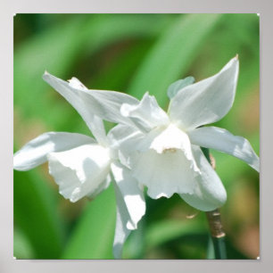 Poster für Kleinkinder
