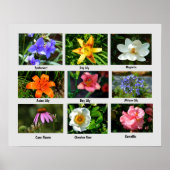 Poster für Makro-Blume (Vorne)