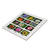 Poster für Makro-Blume Fliese (Seite)