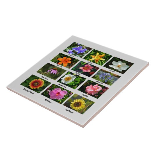 Poster für Makro-Blume Fliese (Seite)