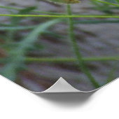 Poster für Rotkäppchen (Ecke)