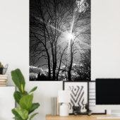 Poster für Sonnenstrahlen und Baumzweige (Heimbüro)