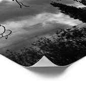 Poster für Sonnenstrahlen und Baumzweige (Ecke)