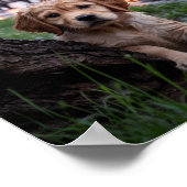 Poster für traurige und einsame Haustiere drucken: (Ecke)