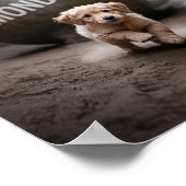 Poster für traurige und einsame Haustiere, gedruck (Ecke)