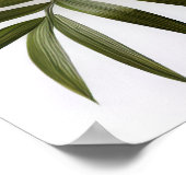 Poster für tropische Blume (Ecke)