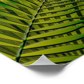 Poster für tropische Vögel (Ecke)