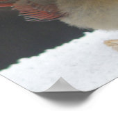 Poster für weibliche Kardinäle (Ecke)