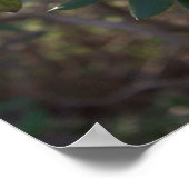 Poster für weiße Blume (Ecke)