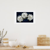Poster für weiße Blume (Küche)