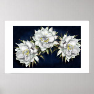 Poster für weiße Blume