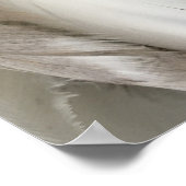 Poster für weiße und schwarze Federn (Ecke)