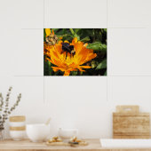 Poster - Fütternd in Calendula (Küche)