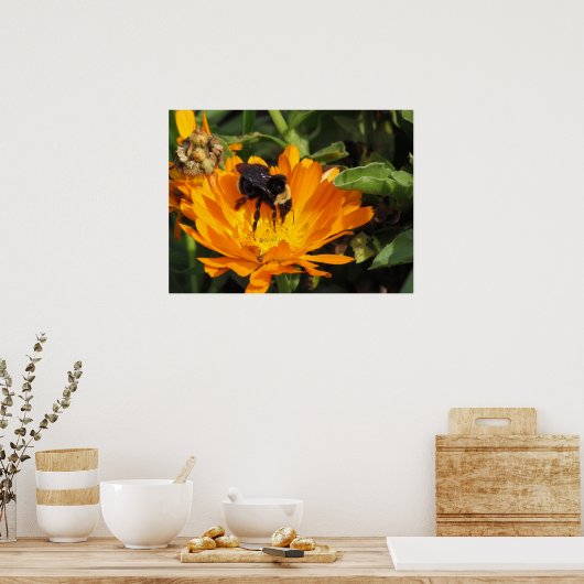 Poster - Fütternd in Calendula (Küche)