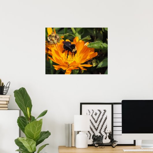 Poster - Fütternd in Calendula (Heimbüro)