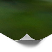 Poster Gänseblümchen Fotografie (Ecke)