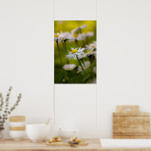 Poster Gänseblümchen Fotografie (Küche)