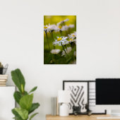 Poster Gänseblümchen Fotografie (Heimbüro)