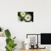 Poster Gänseblümchen in Blüte (Heimbüro)