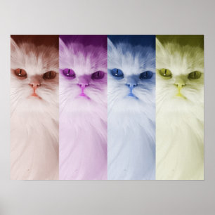 Póster gato de colores poster