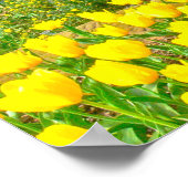 Poster, Gelbe Tulpen und Rotbuden Poster (Ecke)