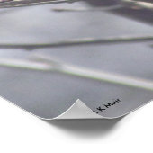 Poster - Gelber Vogel in Branchen (Ecke)