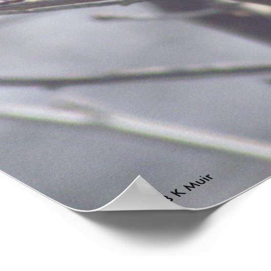 Poster - Gelber Vogel in Branchen (Ecke)