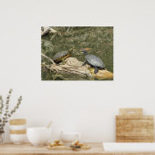 Poster - gemalte Schildkröten (Küche)