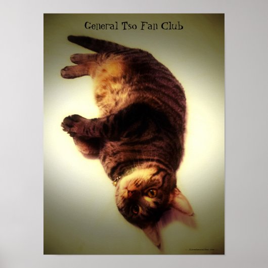 Poster - General Tso Fan Club (Vorne)