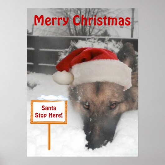 Poster German Shepherd Santa Stopp Hier Unterschre (Vorne)