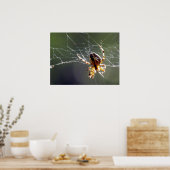 Poster - Gezänktes Web (Küche)