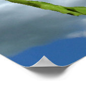 Poster - Glorious day (Ecke)