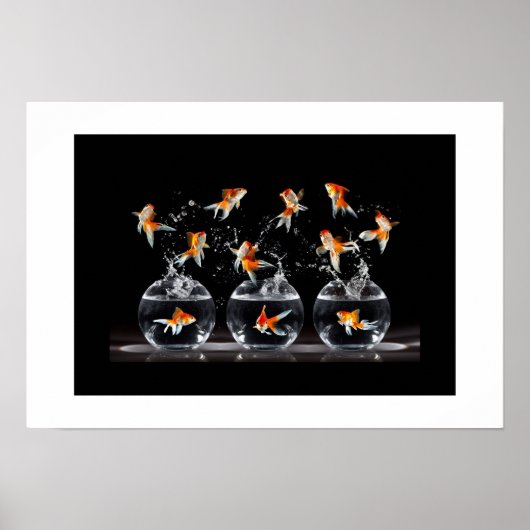 Poster-Goldfish Poster (Vorne)