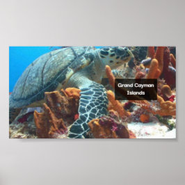 Poster Grand Cayman