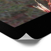 Poster - Grasseedenkopf für Zierzwecke (Ecke)