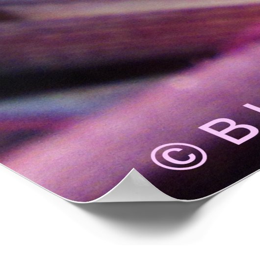 Poster - Grüner Grasshopper in Lila Pflanze (Ecke)