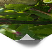 Poster - Guten Morgen Sonnenschein - Vogel in Bush (Ecke)