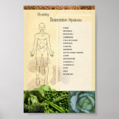 Póster Healthy Inmune System Poster (Vorne)