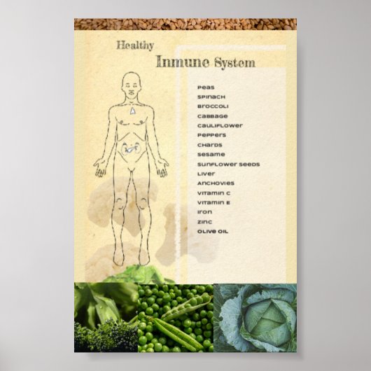 Póster Healthy Inmune System Poster (Vorne)