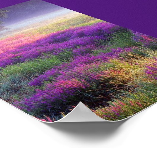 Poster Heather, meine Heide (Ecke)