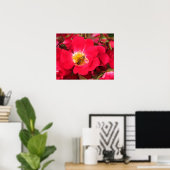 Poster - Honey Bee on Rose (Heimbüro)