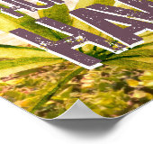 Poster - Honolulu Hawaii Palm Island (Ecke)