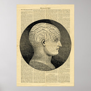 Poster Human Head Phrenology in Zeitungen