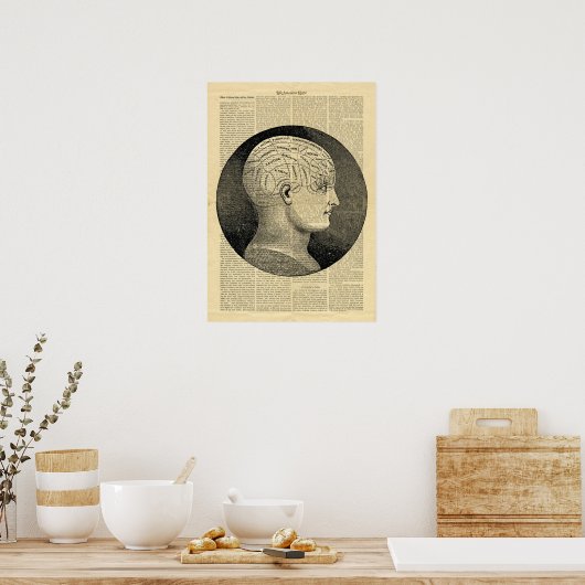 Poster Human Head Phrenology in Zeitungen (Küche)